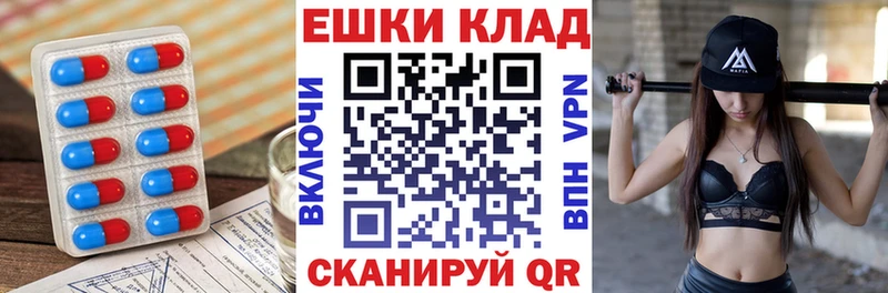ЭКСТАЗИ Philipp Plein  Купить где  Мещовск 