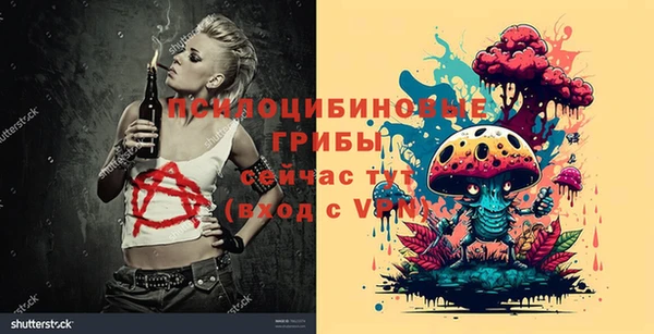 бутират Касимов